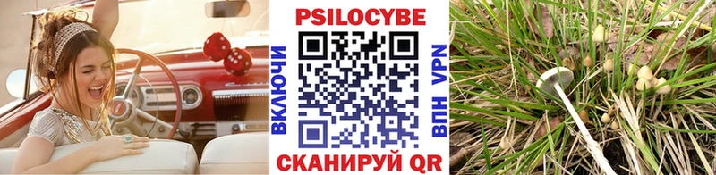 Галлюциногенные грибы Psilocybe Кочубеевское